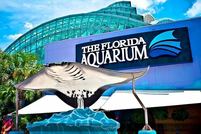 Large outdoor sign for "THE FLORIDA AQUARIUM" with wave logo, in front of modern building with curved glass facade and manta ray sculpture in foreground.