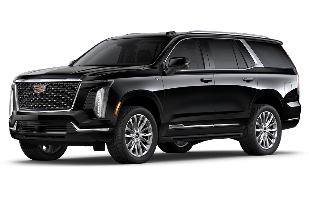 Luxury Car Services in Tampa, FL